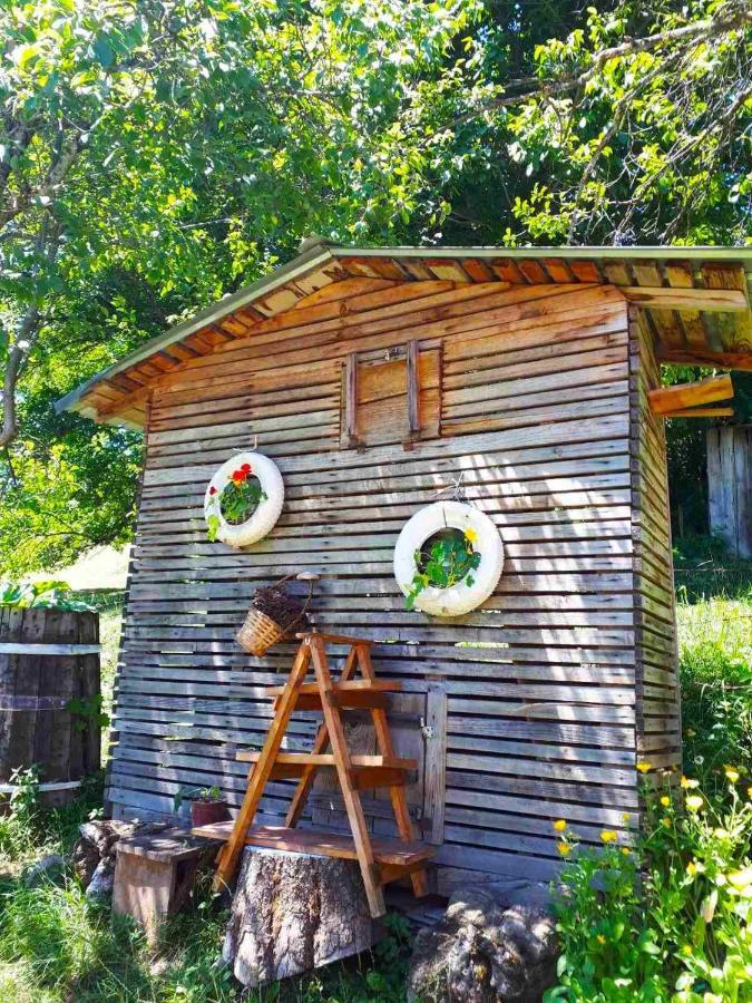 Household Babovic - Old House Miljan'S Valley Andrijevica Buitenkant foto