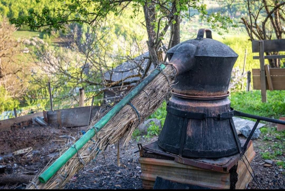 Household Babovic - Old House Miljan'S Valley Andrijevica Buitenkant foto
