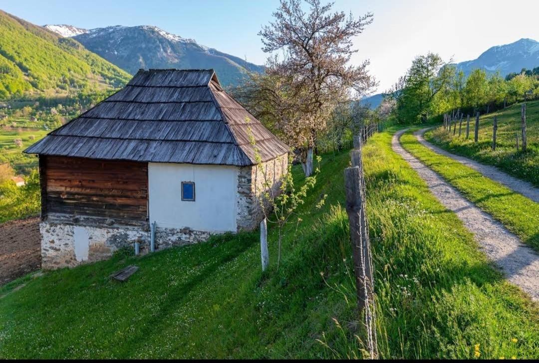 Household Babovic - Old House Miljan'S Valley Andrijevica Buitenkant foto