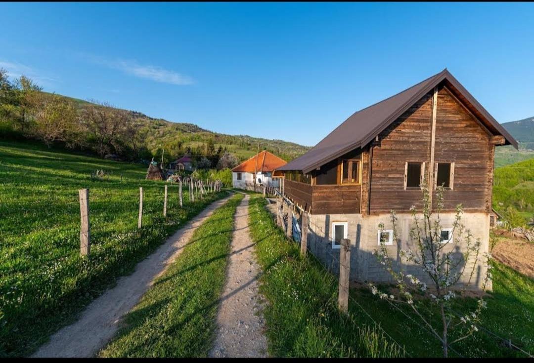 Household Babovic - Old House Miljan'S Valley Andrijevica Buitenkant foto