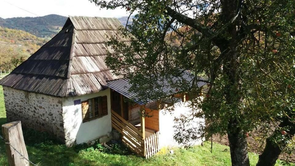 Household Babovic - Old House Miljan'S Valley Andrijevica Buitenkant foto